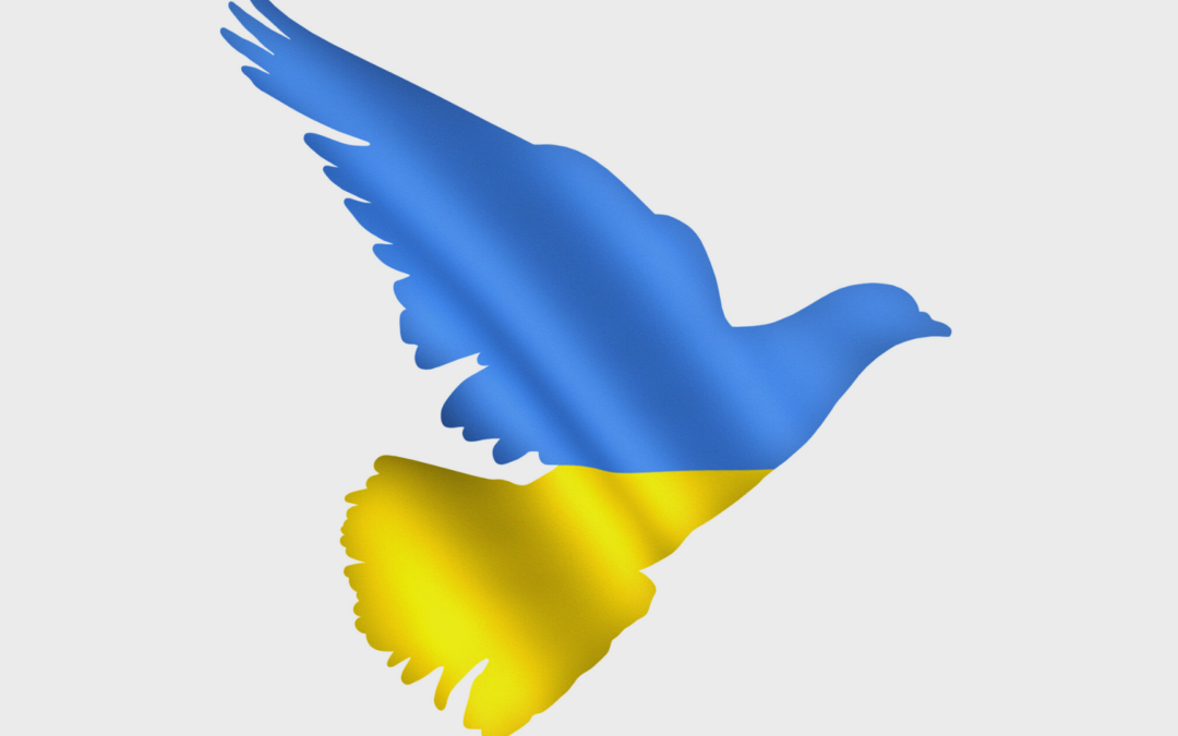 La otra ayuda humanitaria en Ucrania