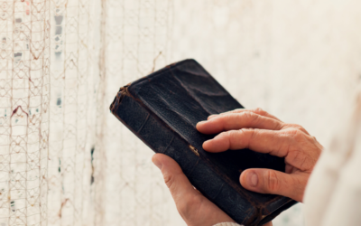 Lectura Pública de la Biblia