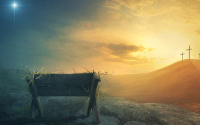 Nuevo devocional de YouVersion