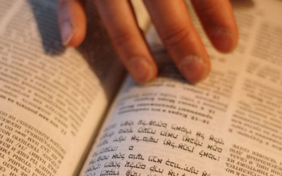 Comienza nuestro curso de lenguas bíblicas