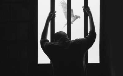 Día del preso en España, primer domingo de marzo.